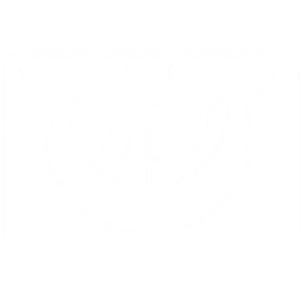 Transparent Orthodontics 28 Scanner facciale